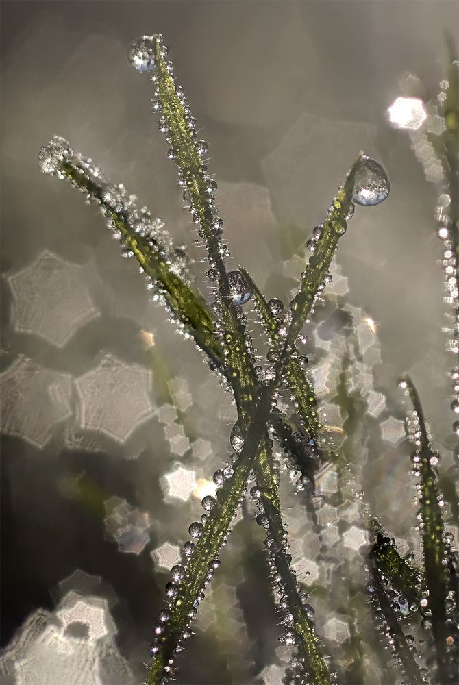 Photograph by Natalia Bolotenkova