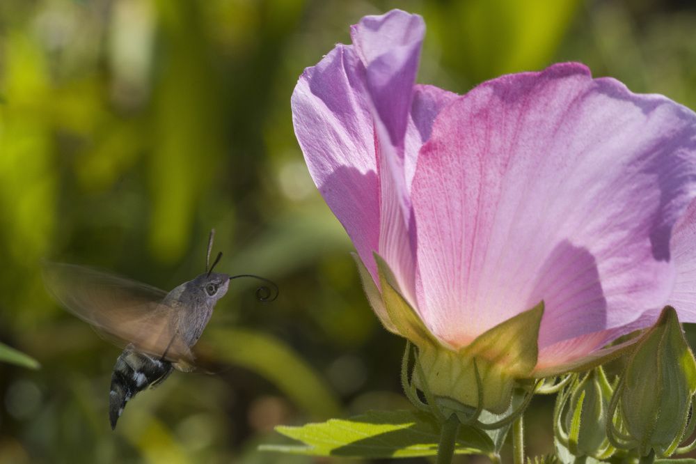 Photograph by Рустам Гаджиев