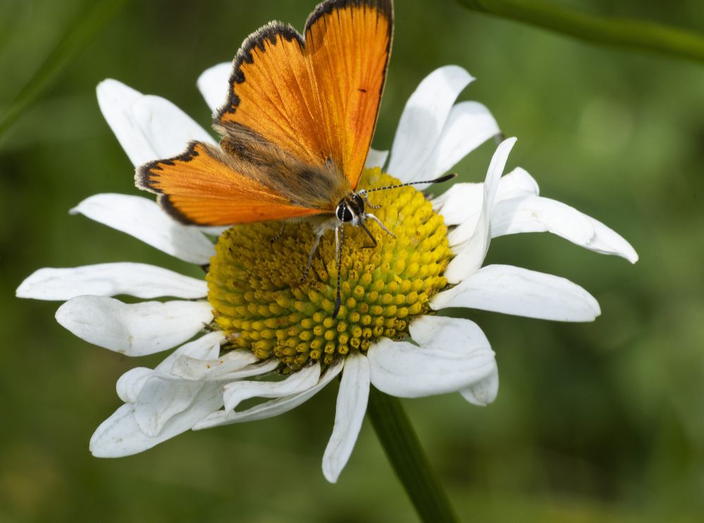 Photograph by Рустам Гаджиев