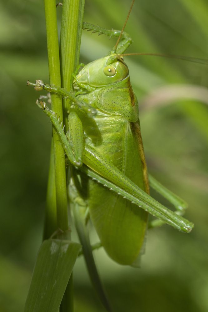 Photograph by Рустам Гаджиев