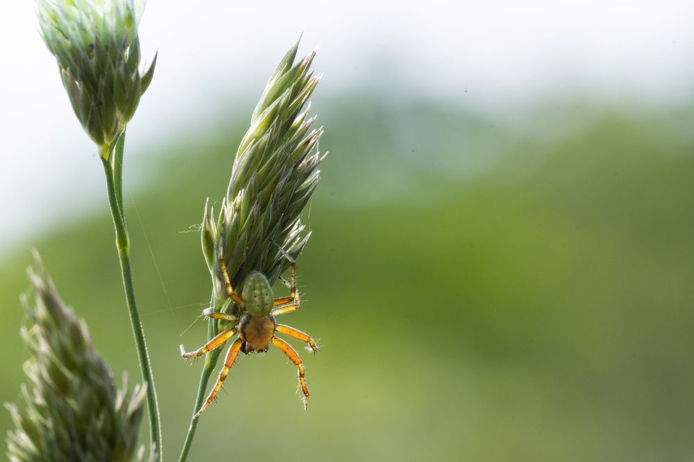 Photograph by Рустам Гаджиев