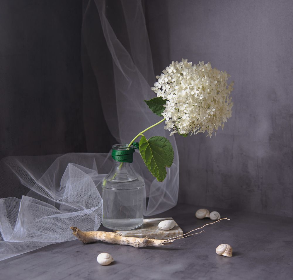 Photograph by Ирина Яук