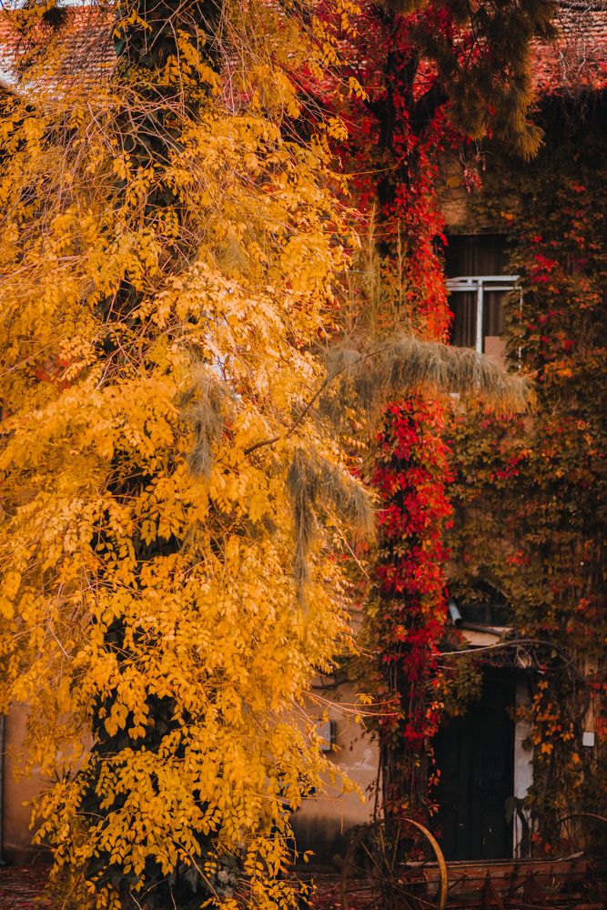 Фотография автора Jalal Ibrahim