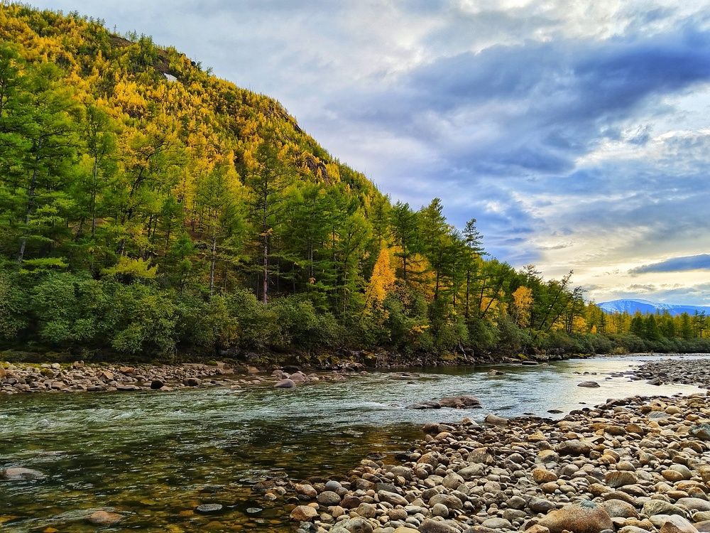 Photograph by Анастасия Зайцева