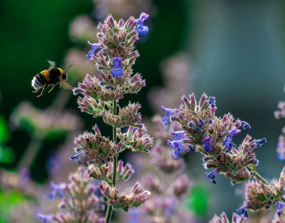 Photograph by Руслан Ибрагимов