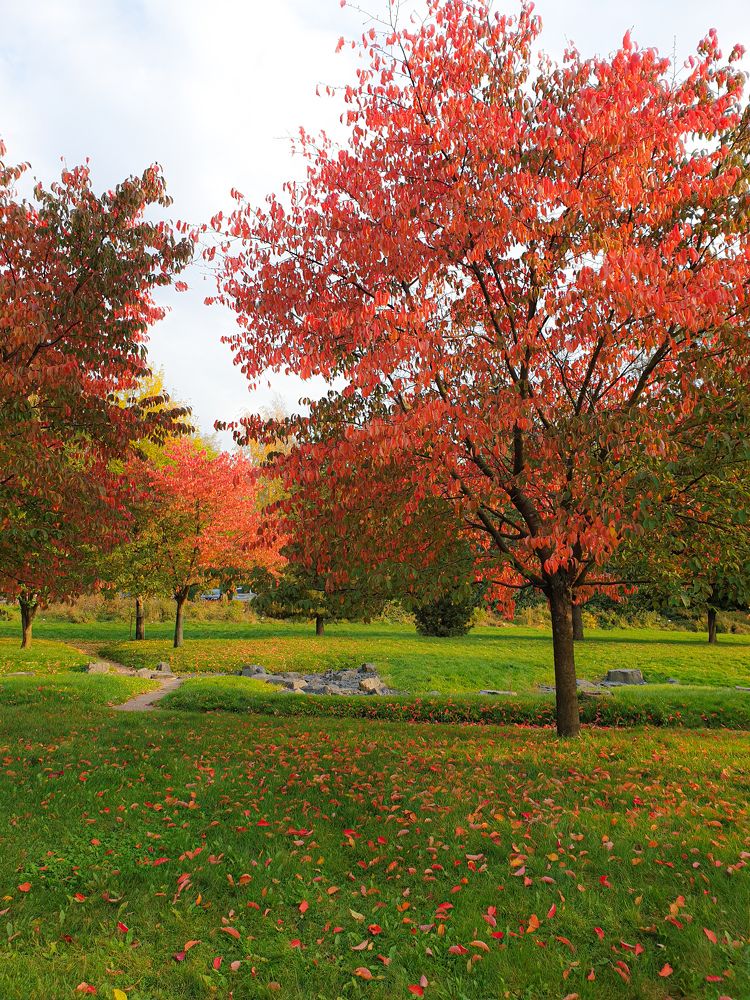 Photograph by Irina Ebral