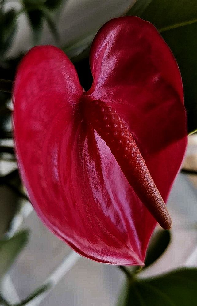 Фотография автора АЛЕКСАНДР ЦЫГЕЛЬНЮК