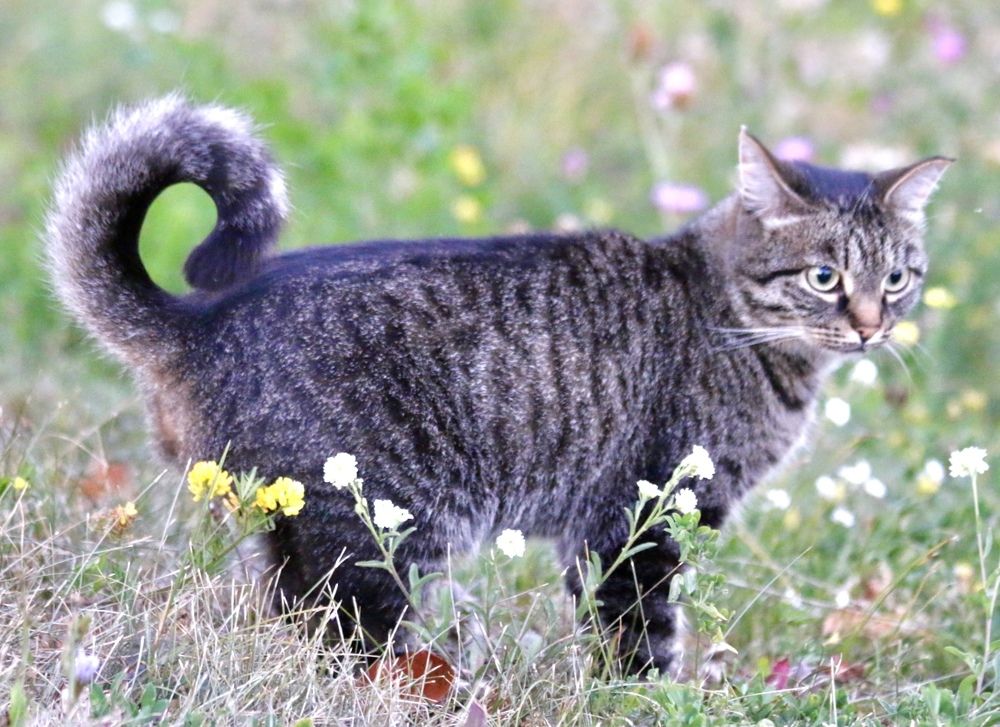 Photograph by Oleg Travin