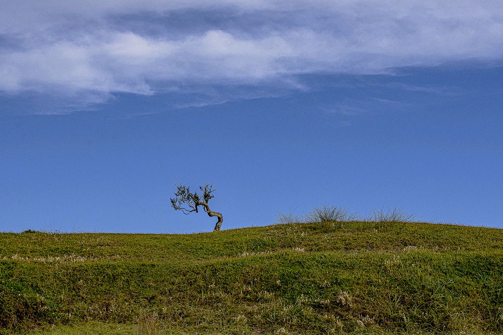 Photograph by Eloi Santos de Farias