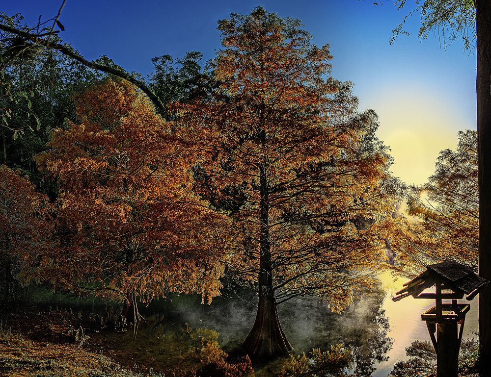 Photograph by Eloi Santos de Farias