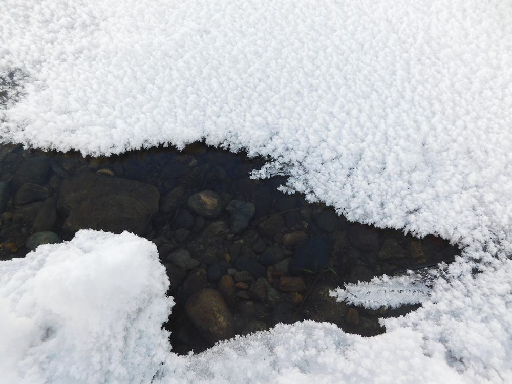 Photograph by Александр Прядко