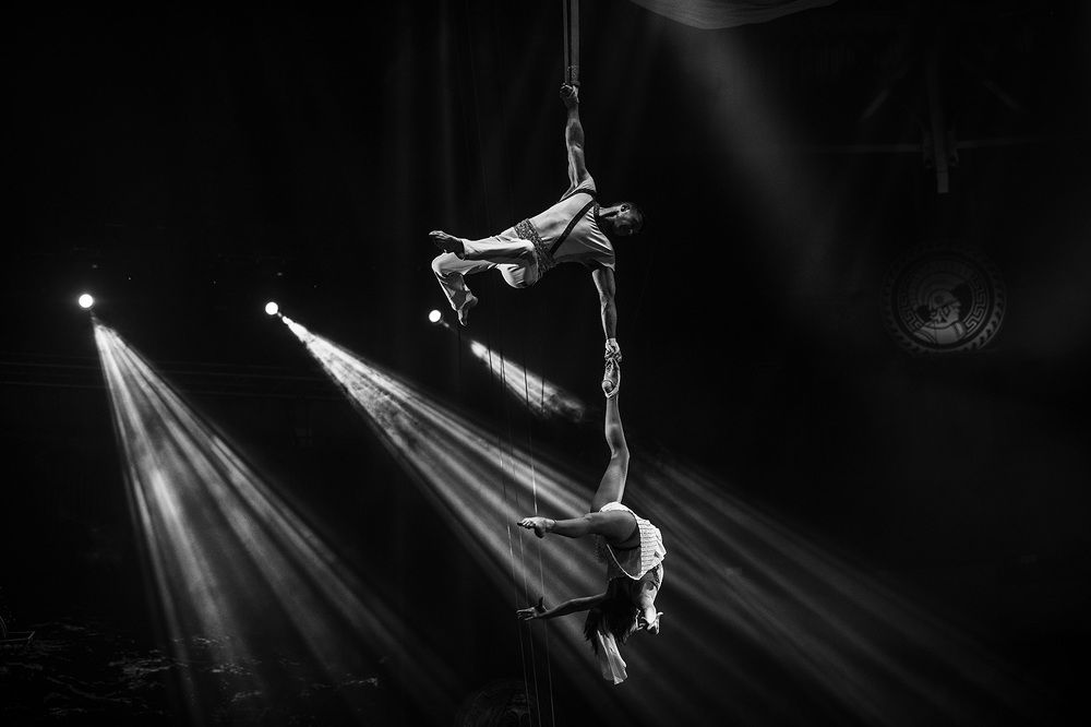 Под куполом цирка