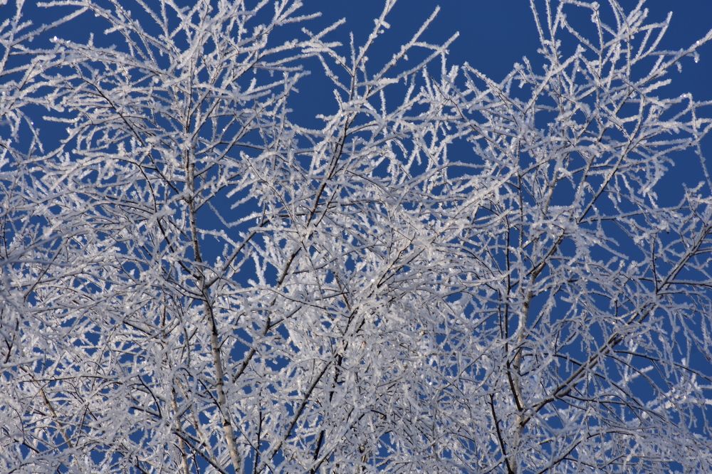 Photograph by Александр Прядко