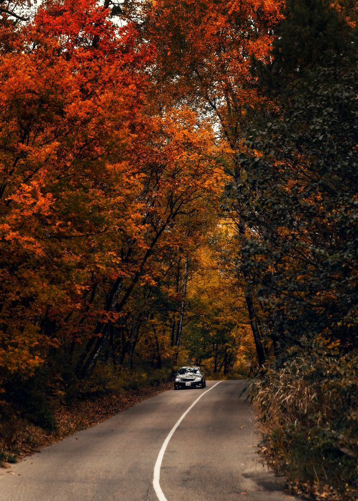 Photograph by Егор Круглов