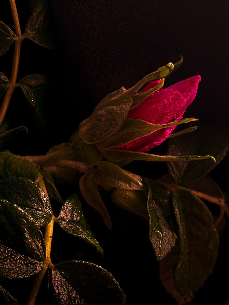 Photograph by Вера Романова