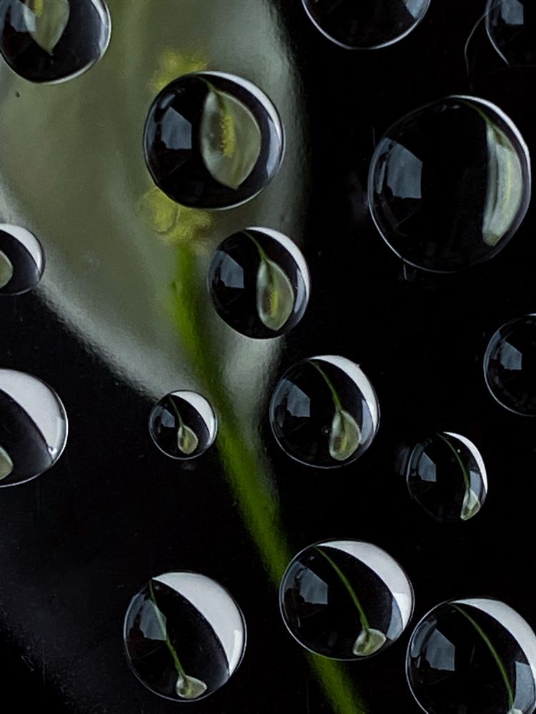 Photograph by Вера Романова