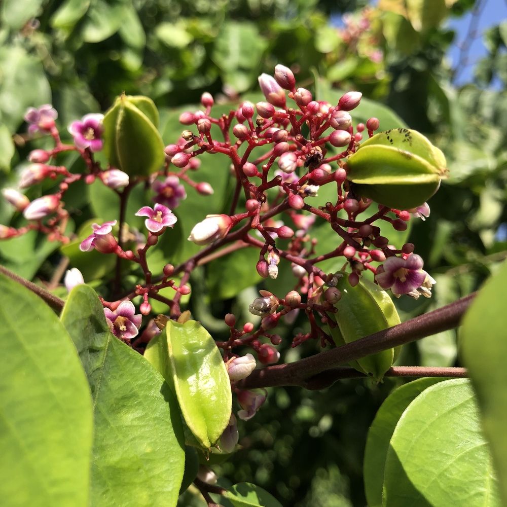 Photograph by Tina Domingos