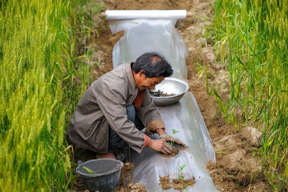 Радость труда