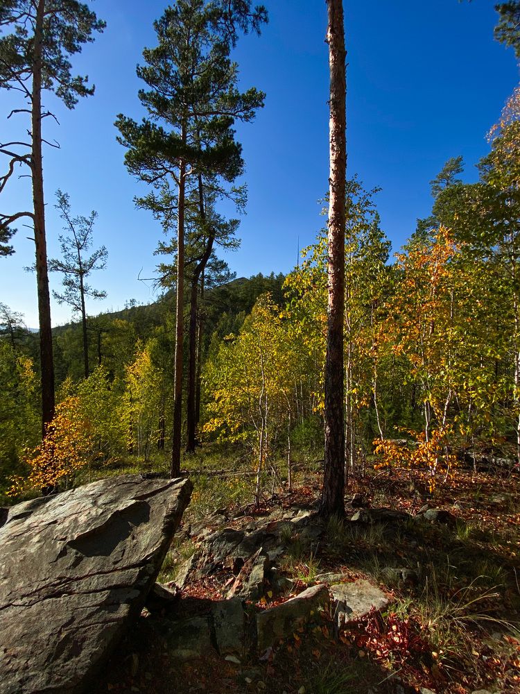 Photograph by Вера Романова