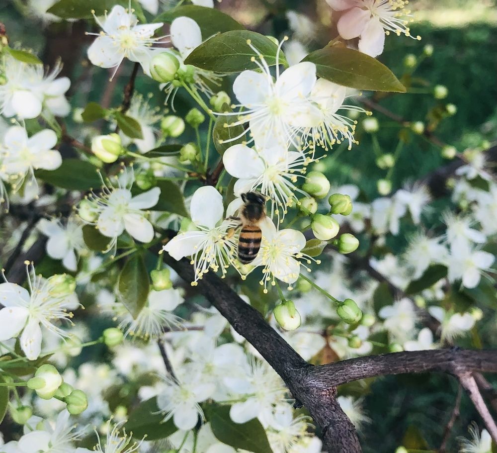 Photograph by Tina Domingos