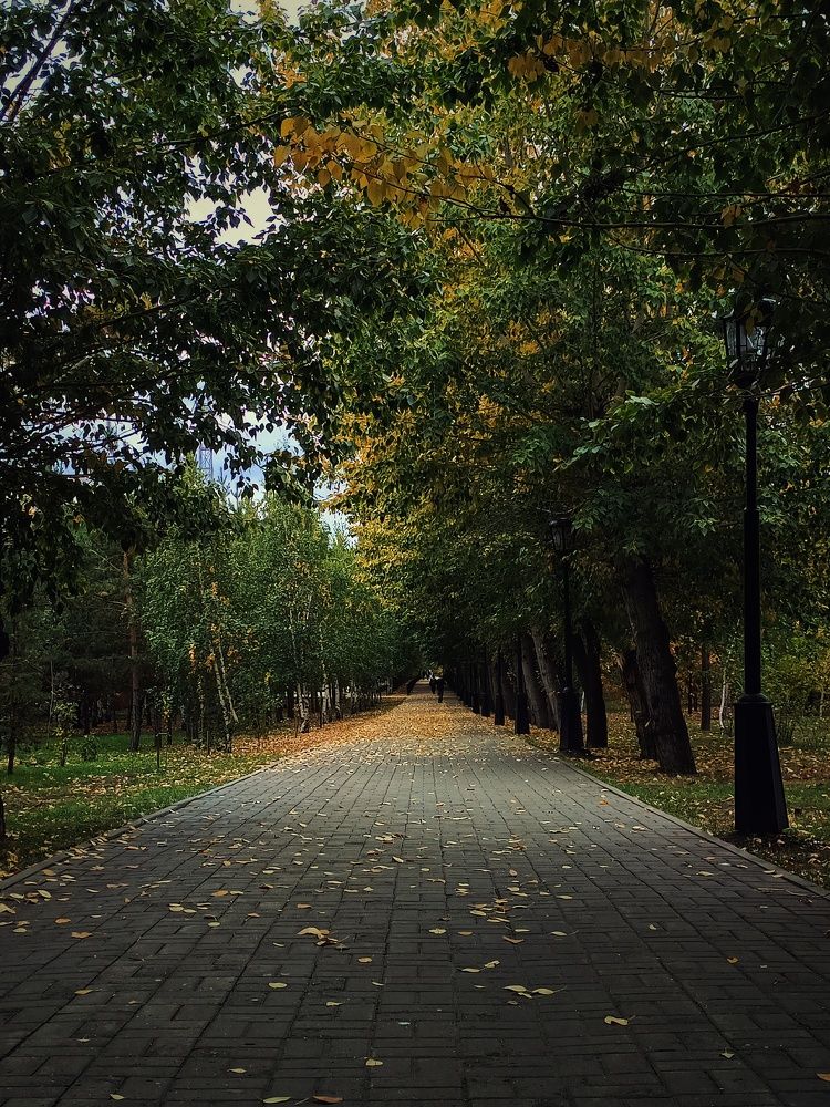 Photograph by Дамир Батряков