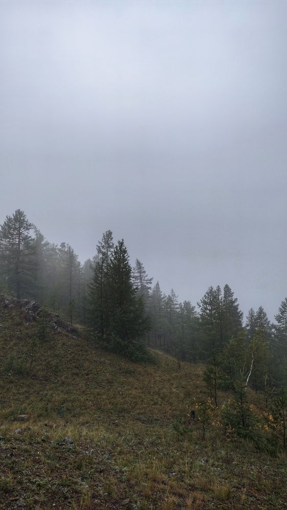 Photo #9608619