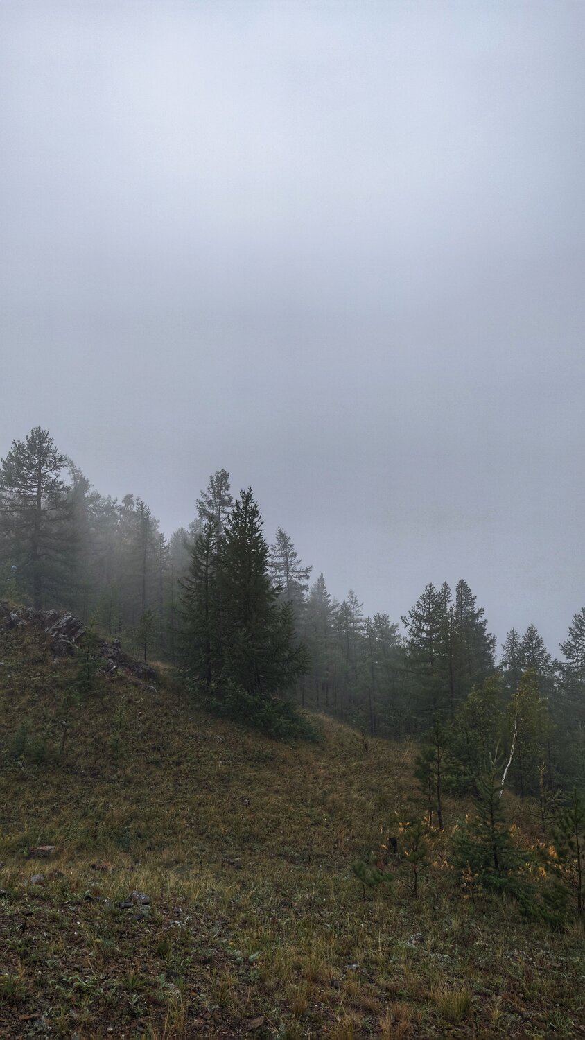Photo #9608619