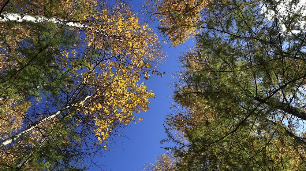 Осеннее небо