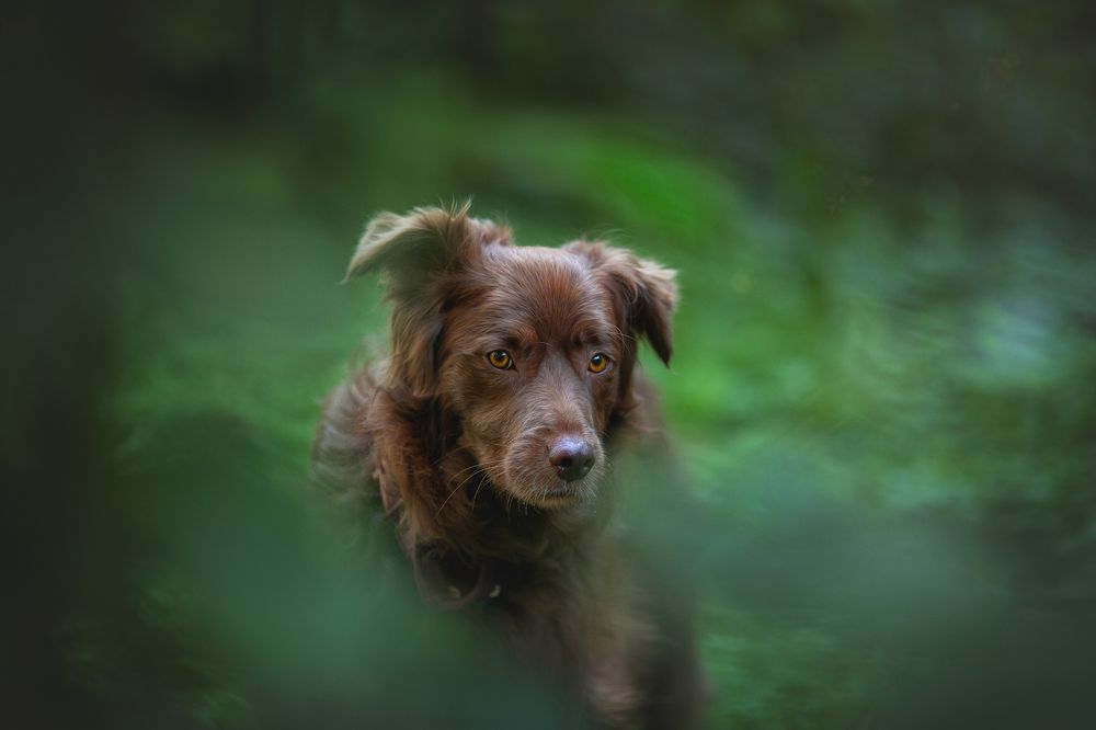 Photograph by Алёна Соболева