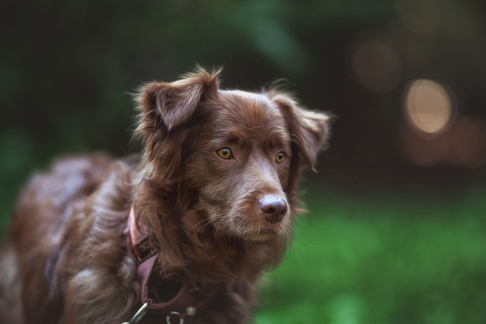 Photograph by Алёна Соболева