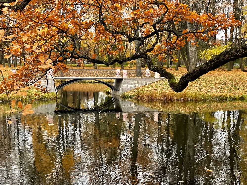 Photograph by Tatiana Teit Ash