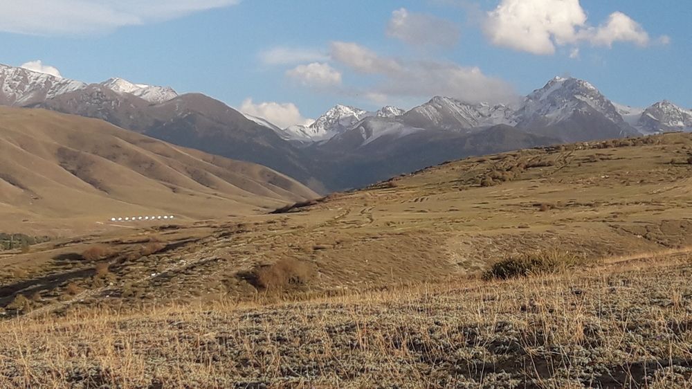 Photo #9608695