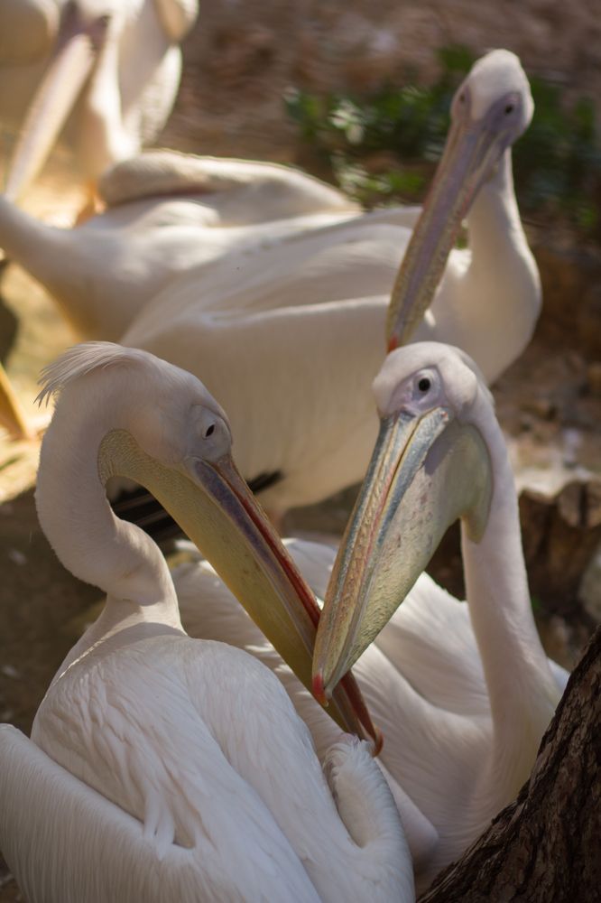 Photograph by Olga Min