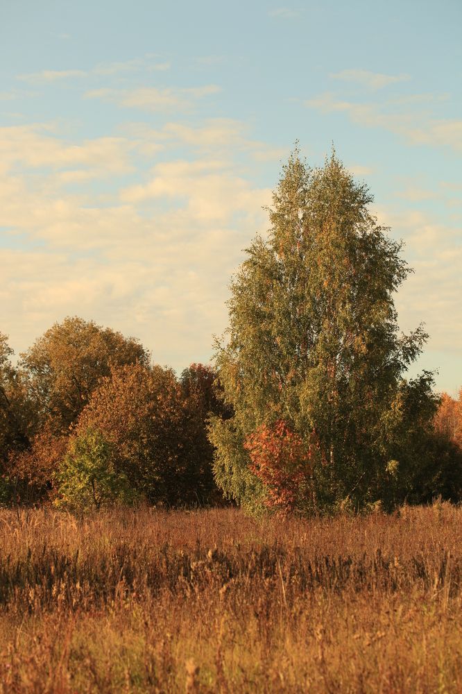 Photograph by Владимир Ясюкевич