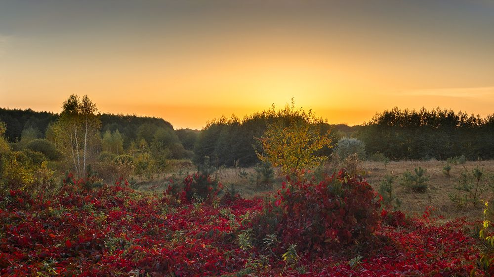 Photograph by Сергей Степанов