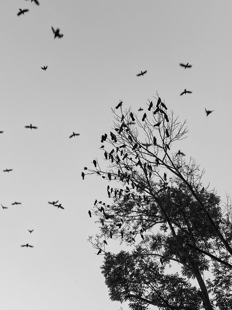 Photograph by Кристина Луканова