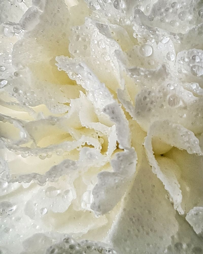 Photograph by Людмила Григорьева