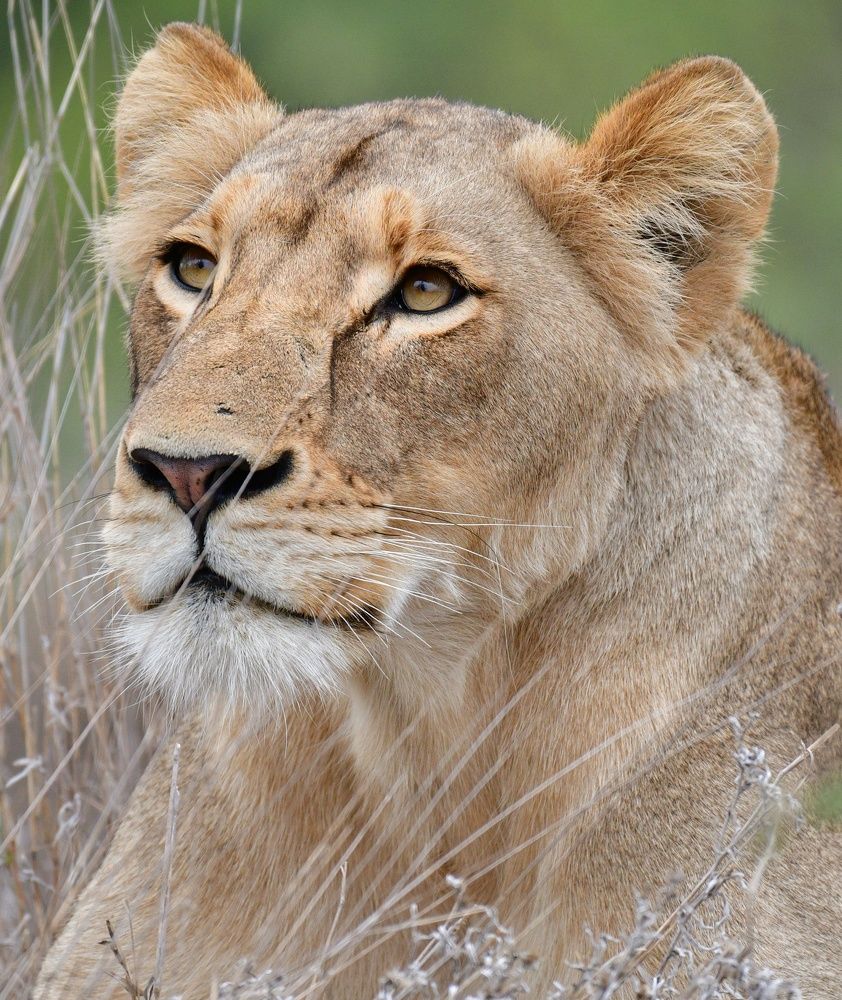 Photograph by Michelle Storm