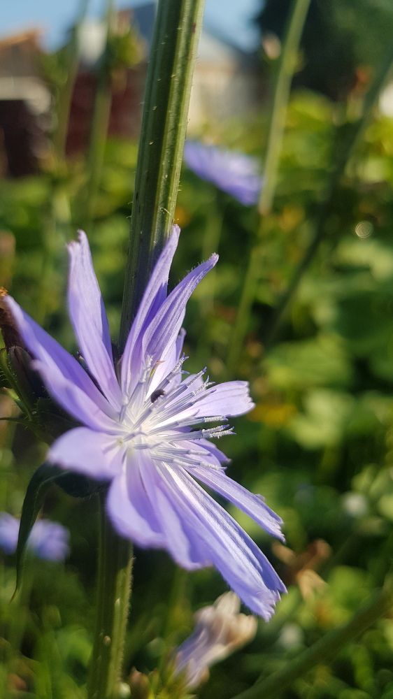 Photograph by Дарья Агапова