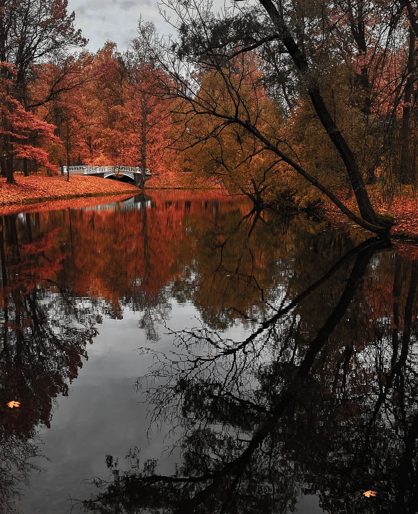 Photograph by Tatiana Teit Ash