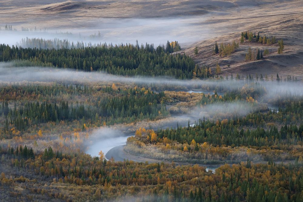 Photograph by Галина Хвостенко