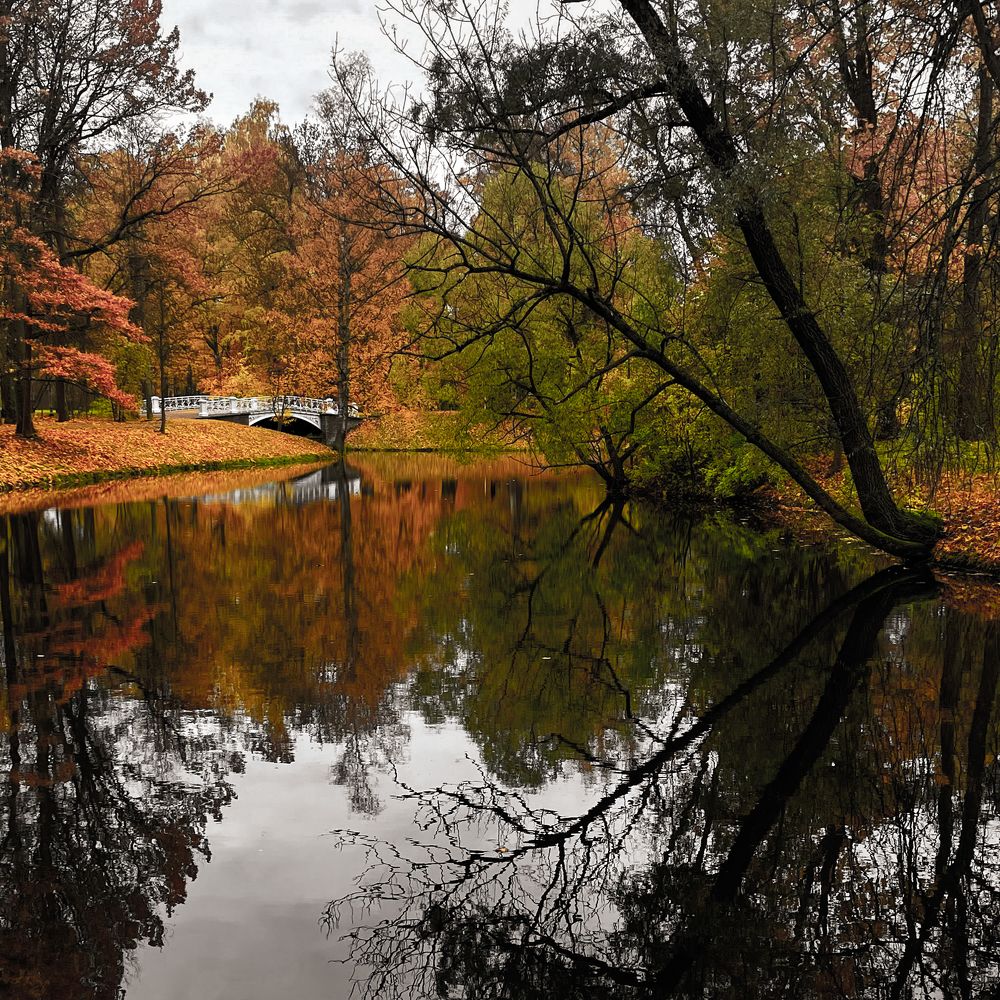 Photograph by Tatiana Teit Ash