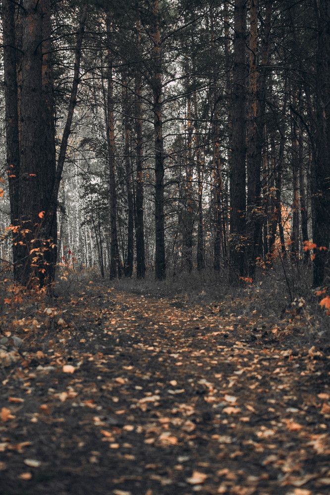 Photograph by Artem Menchshikov