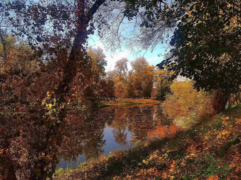 Photograph by Irina Dali