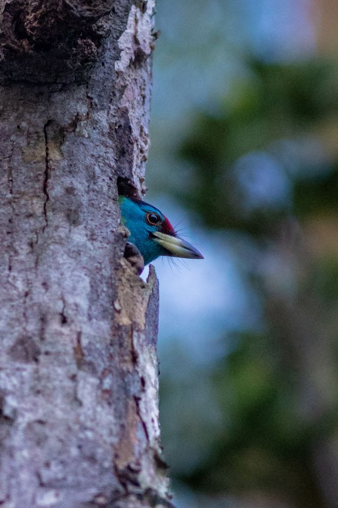 Photograph by Sadman Sakib