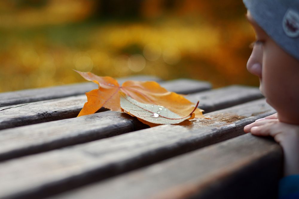 Фотография автора Mila Prophoto