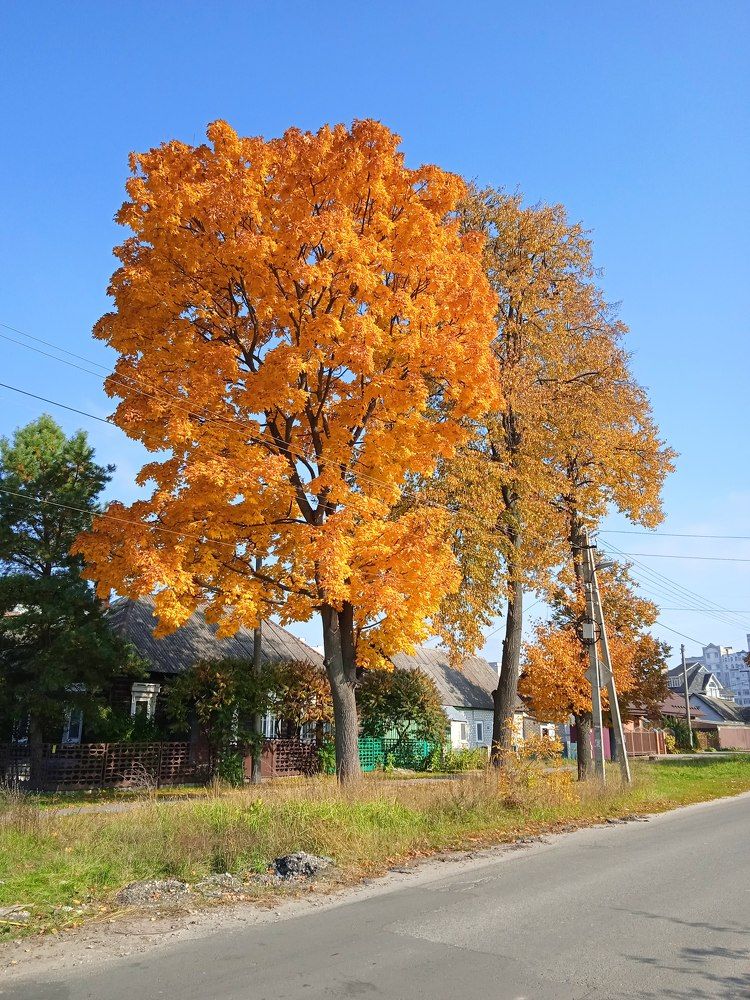 Photograph by Марина Гусева