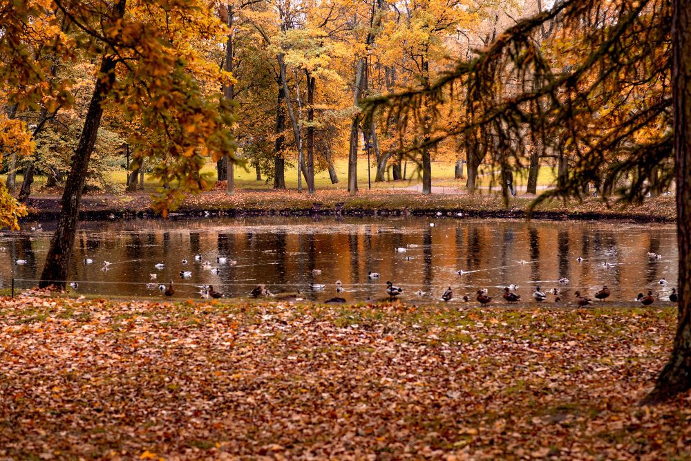 Фотография автора Mila Prophoto