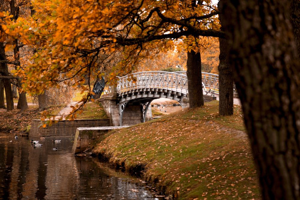 Фотография автора Mila Prophoto