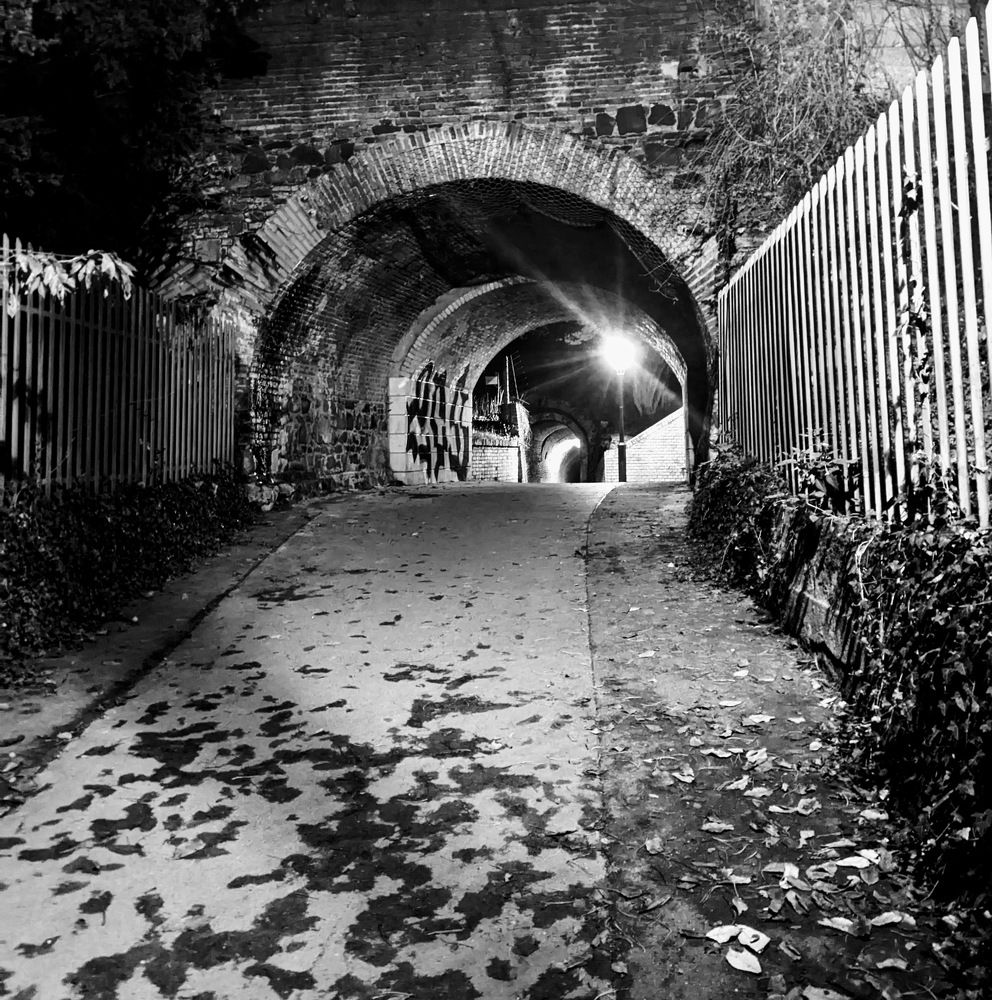 Photograph by Gabriela Meghnini